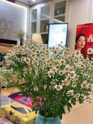 点击看大图 -静博士养生美容