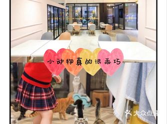 六一嗨玩|萌宠互动亲子乐园是六一好去处哟!