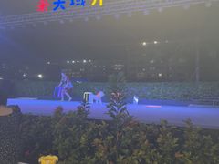 -渔家火锅·海鲜自助餐·演艺(亚龙湾天域酒店)