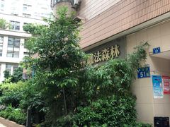 -咖法森林·咖啡  酒吧(天河店)