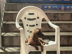 -虎卫烤肉(东关南街店)