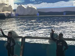 -秦皇岛乐岛海洋王国