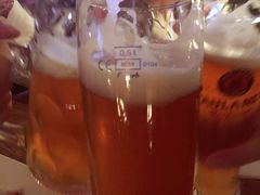 -宝莱纳啤酒花园餐厅PAULANER BRAUHAUS Nanjing(广州路店)