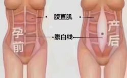 点击看大图 -昕孕瑜伽·孕妇瑜伽·产后修复