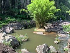 -刘伯温故里景区百丈漈