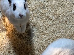 -天津zoonly动物主题公园