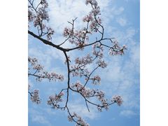 -独墅湖图书馆停车场