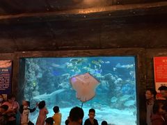-杭州海底世界