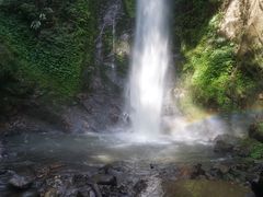 -莫里热带雨林景区