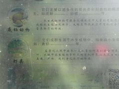 -武清南湖绿博园