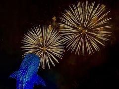 -珠海长隆海洋王国