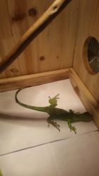 -尚玲纹绣纹眉特价店