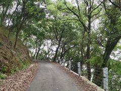 -南山植物园