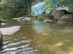 -广州白江湖森林公园