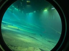 -白鹤梁水下博物馆