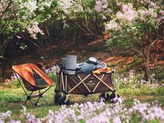 -永定河休闲森林公园