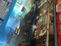 -望海潮海鲜店 特色家常菜(在海一方店)