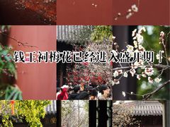 -钱王祠