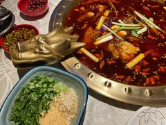 美蛙鱼头锅-红辣椒·川菜·火锅(科华路店)