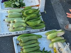 -东天目山风景区