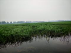 -白洋淀景区