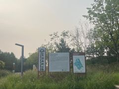 -东郊湿地公园