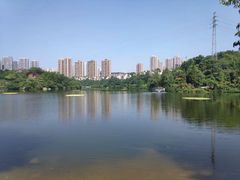 -重庆彩云湖湿地公园