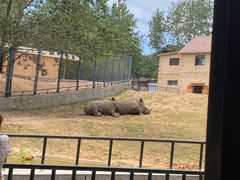 -大连森林动物园