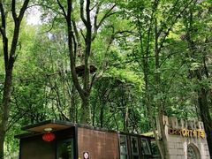 -WeLope紫金山探险公园