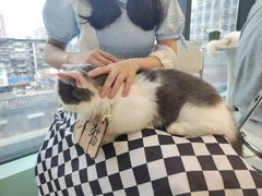 -怪兽屋·羊驼·猫咖·狗咖(俊华广场店)