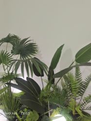 -HEYAN荷妍专业脱毛连锁机构