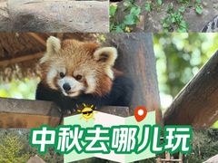 -北京野生动物园