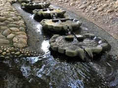 -成都市活水公园