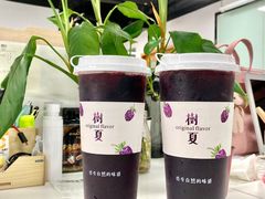 树夏桑葚-树夏(建设路店)