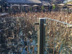 -莫催咖啡