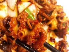 酱爆八爪鱼-宝燕海鲜(好爱店)