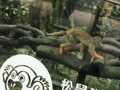 -石排湾郊野公园