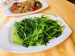 清炒番薯叶-高记惠州风味楼(惠城店)