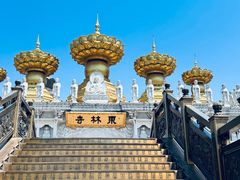 -上海东林寺(金山区)