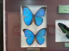 -上海昆虫博物馆