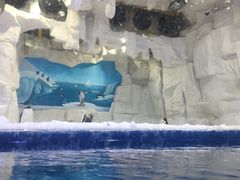 -华夏文旅海洋公园