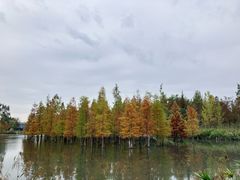 -白鹭湾湿地公园