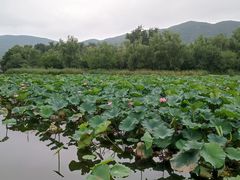 -北京植物园南门售票处