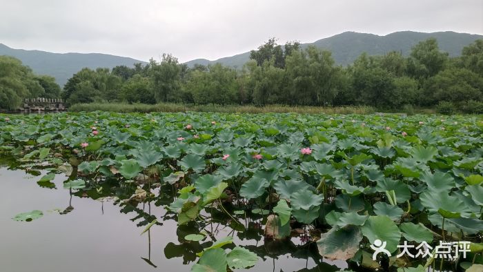 北京植物园南门售票处图片