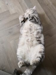 -宋氏家传催乳工作室(罗南新村店)