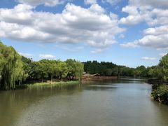 -自然谷恐龙园