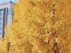 -四川大学(华西校区)