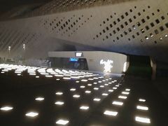 -南京眼步行桥