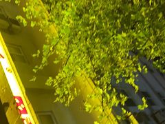 -袁记串串香(新南门店)