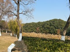 -江滩湿地公园